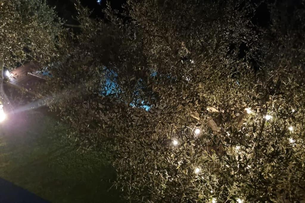 Villa Villacolle マッサローザ エクステリア 写真